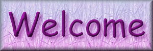 Welcome!