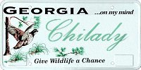 ChiLady's Georgia license plate