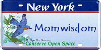 Momwisdom's license plate